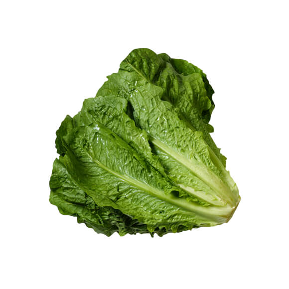 کاهو